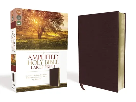 AMPLIFIED BIBLEAMLARGE PRINT: CAPTURES THE FULL MEANING BEHIND THE ORIGINAL GREEK AND HEBREW