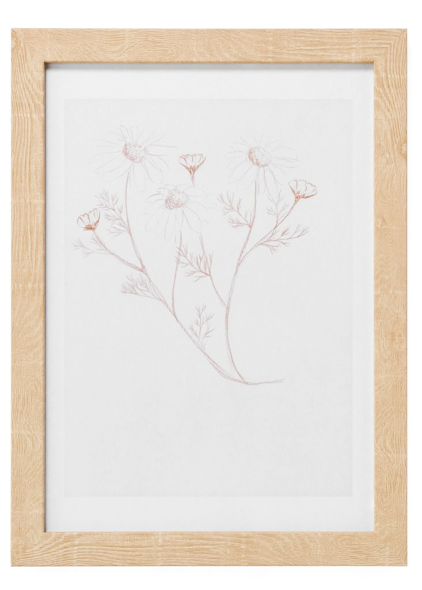 Floral Sketch Wall Art