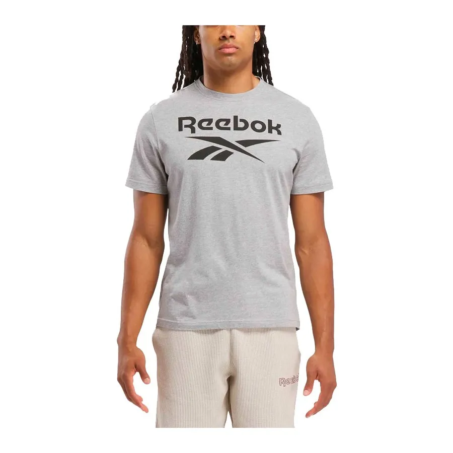 Reebok Camiseta Hombre RI BIG STACKED LOGO GRIS