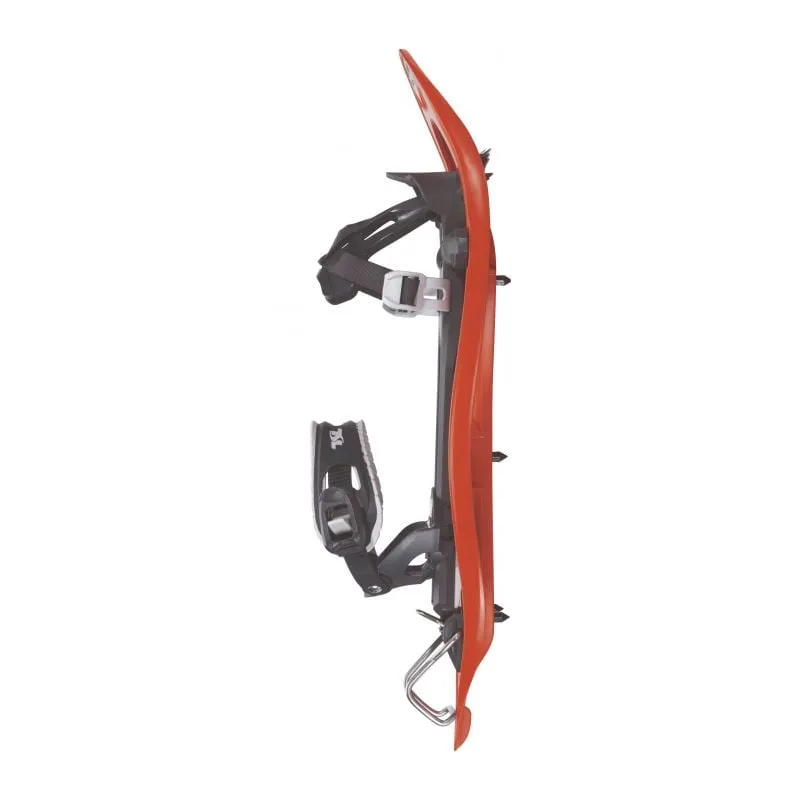 Snowshoe TSL 305 Elevación (Guayaba)